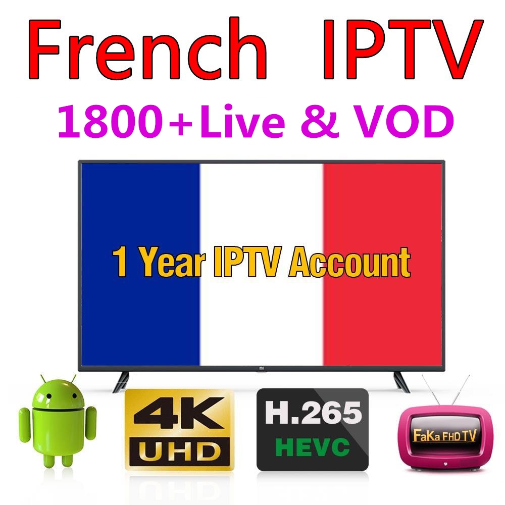 TV Box Android9.0 Q Plus+1 Year NEO Pro IPTV Subscription France Spanish Italia Smart IPTV WiFi Set Top Box 6K Home Media Player